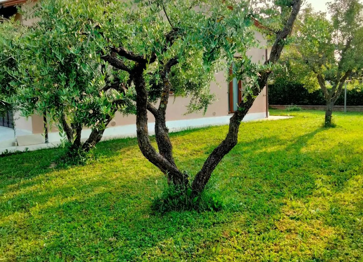 Il Melograno Apartment Lucca